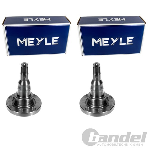 Assi meyle posteriori - 2,