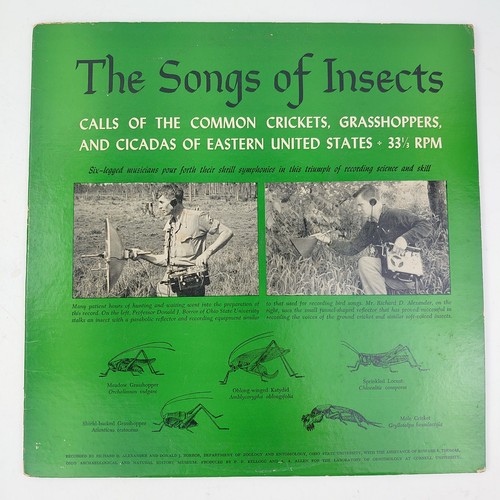 Songs insects calls of - songs,