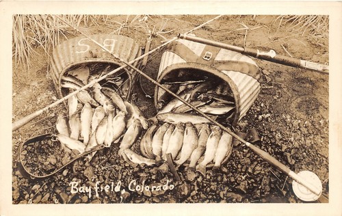 Cartolina bayfield - cartolina,