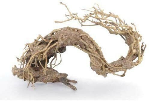 Legno oriental wind - wind, sm