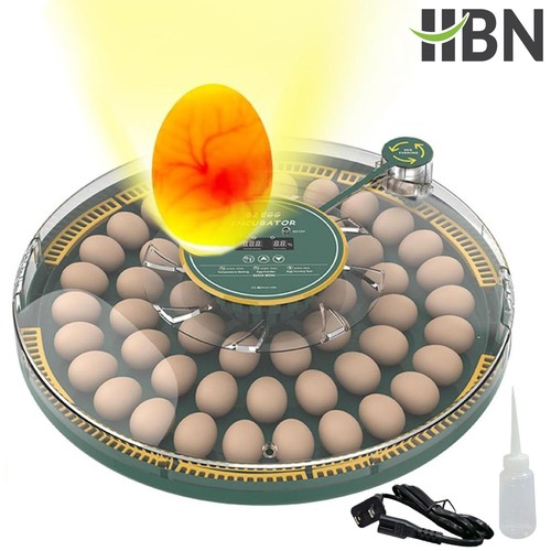 Incubatrice per uova hbn - per,