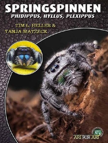Tim heller t springspinnen - l.,