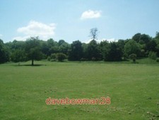 PHOTO  THE GREAT WOOD STANMER