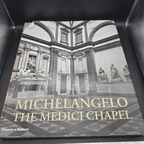 Michelangelo the medici - the,