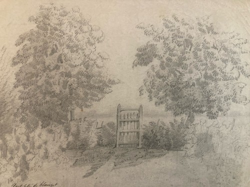 Disegno matita carta - disegno,