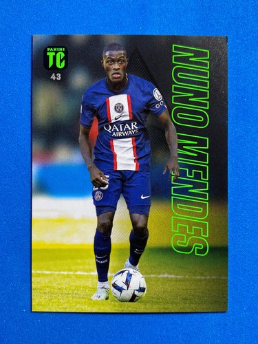 Panini adrenalyn top class - adrenalyn,