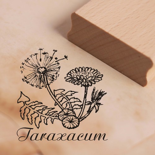 Timbro taraxacum - -,