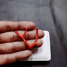 Ramo di corallo italiano