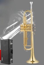 Strumento musicale spedizione