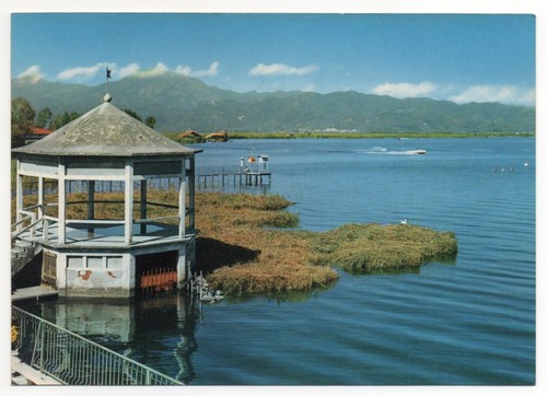 Torre del lago - del,