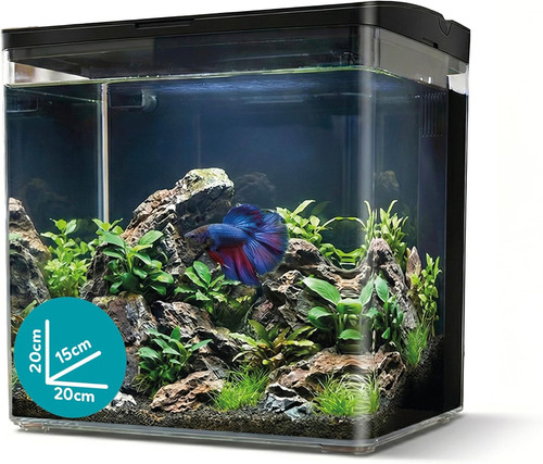 Neya acquario scrivania - da,