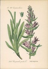 Chromolithographie 