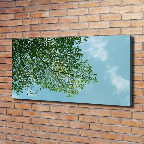 Quadro tela stampa - tela,