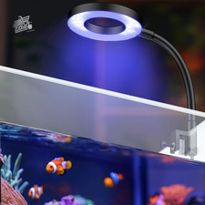 6 W Lampada per Acquari Marini