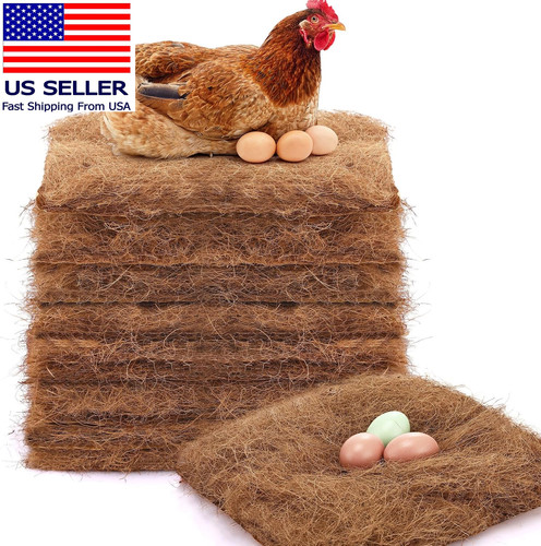 Pollo nidificazione box - pollo,