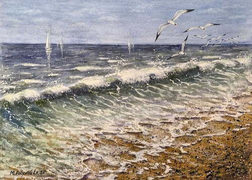 Onda mare gabbiano - onda,