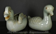 Coppia sculture anatra