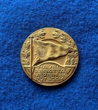 Medaglia 1931 bronzo dorato