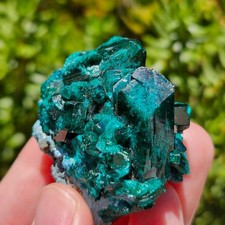 Dioptasi con raccoglitore di