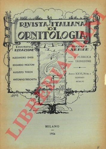 Rivista italiana - rivista,