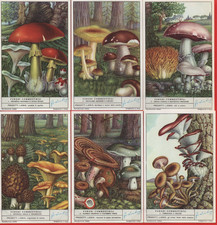 FIGURINE LIEBIG SERIE COMPLETA