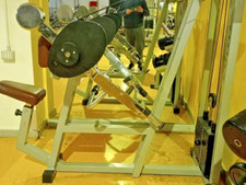 ?ARM CURL LINEA LUX Technogym grigio - macchina bicipiti