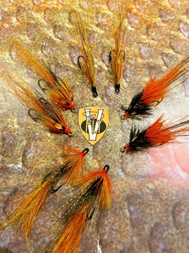 Fly tutte taglie - tutte, ultimate