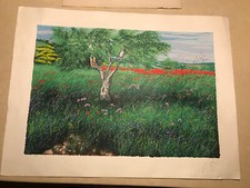 AZZINARI FRANCO litografia papaveri Prova D Autore Firmata 80x60