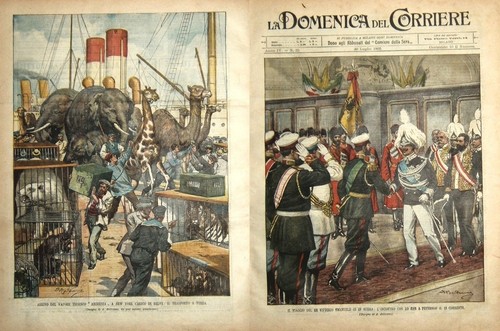 Domenica del corriere 1902-29