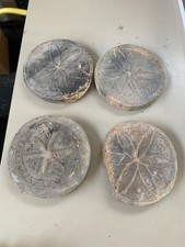 Stampi Per Tigelle Modenesi Epoca Collezione 