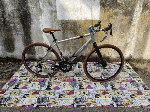 Northbridge bici grigia