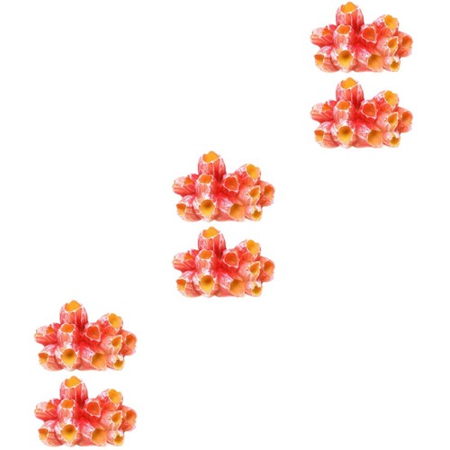 Confezione accessori - ,