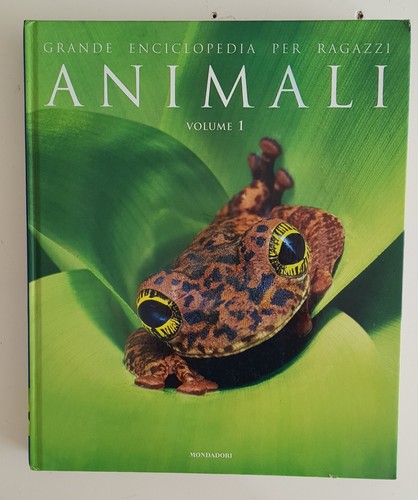 Grande enciclopedia per