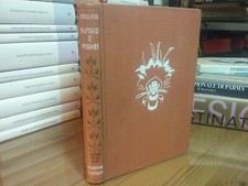 PAPUASI E PIGMEI-ALFRED A.VOGEL-BALDINI E CASTOLDI 1954