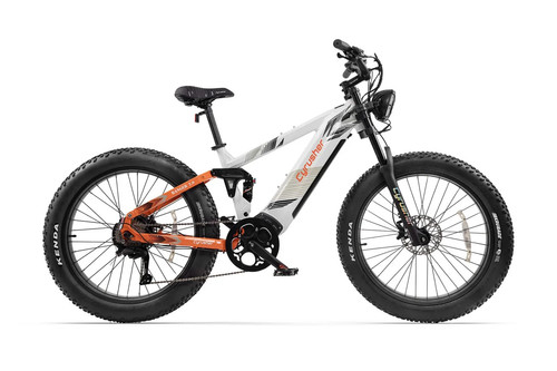 Bicicletta elettrica usata