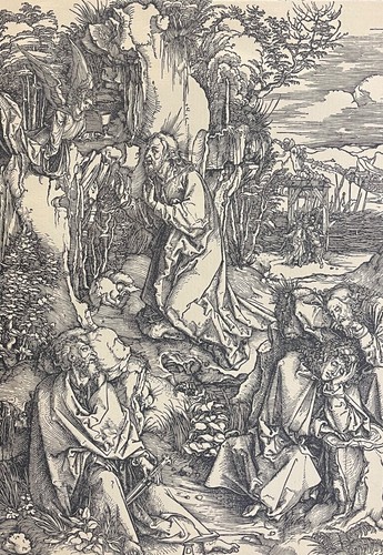 Albrecht durer 1471 - , le