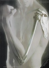 Human Anatomy By Martini