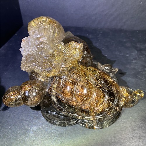 5lb top naturale - 6,5",