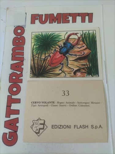 Figurine zoo mappa - figurine, della