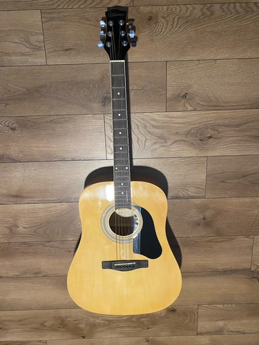Silvertone pro series chitarra - series,