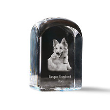 Cane Pastore Vasco - Cubo Di