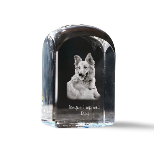 Cane pastore vasco cubo - pastore,