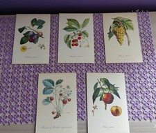 Set stampe francesi anni 40 da