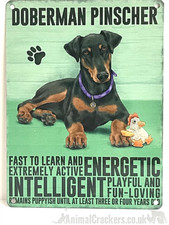 20cm metal vintage style