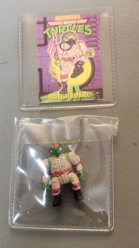 Vintage teenage mutant ninja - vintage,