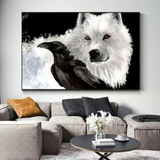 Poster animali corvo - poster,