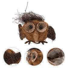  Pianta di cocco 1 PZ