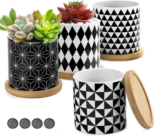 4pcs vaso per piante grasse - vaso,