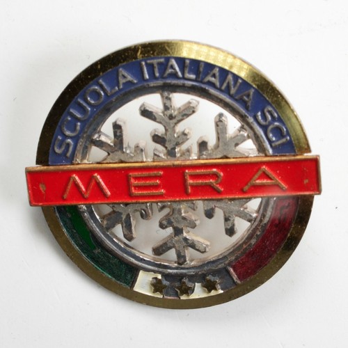 Distintivo spilla badge - distintivo,