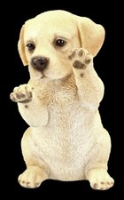 Cani figura labrador - cani,